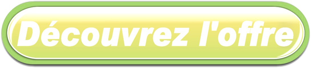 BOUTON LIVRAISON FLEURS A SAVIGNAC-SUR-LEYZE